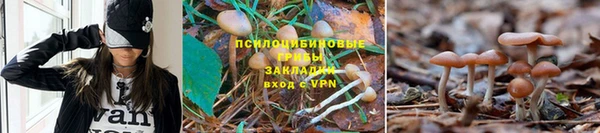 MESCALINE Армянск