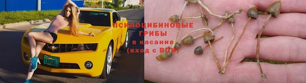 спиды Аркадак
