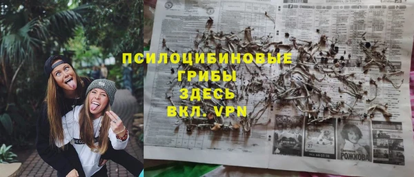 спиды Арсеньев