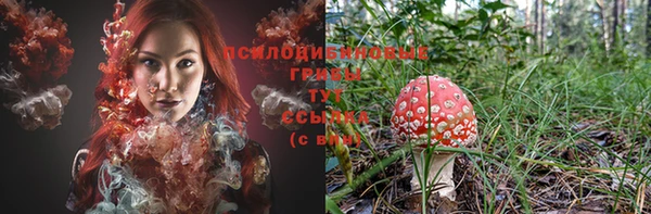спиды Аркадак