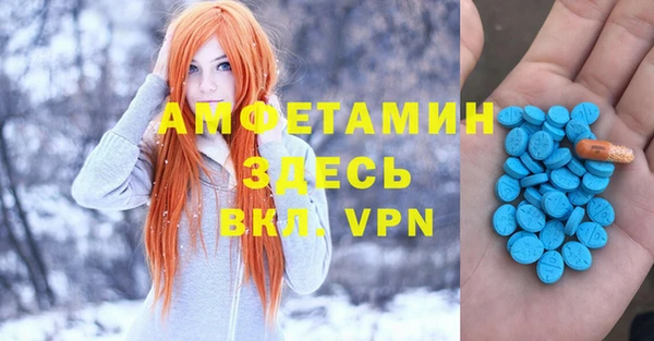 спиды Аркадак