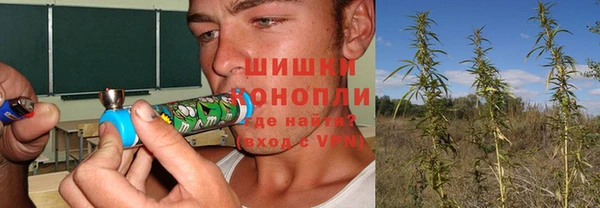 спиды Арсеньев