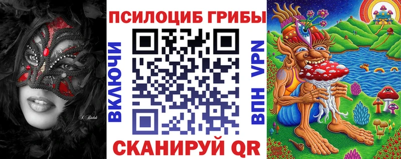 Галлюциногенные грибы MAGIC MUSHROOMS  Черногорск 
